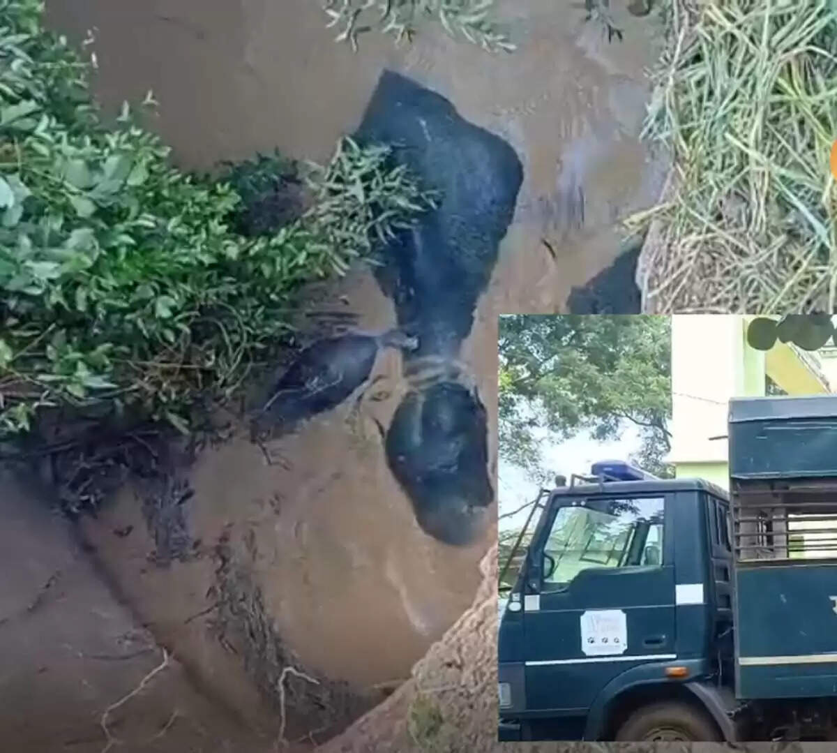 (अपडेट ) बलौदाबाजार : कड़ी मशक्कत के बाद कुएं में गिरे चारों हाथी सुरक्षित निकाले गए