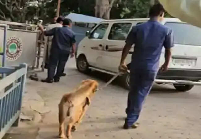 ऑपरेशन सिंदूर की कामयाबी के बाद बढ़ाई गयी बिहार के मुख्यमंत्री आवास की सुरक्षा&nbsp;व्यवस्था