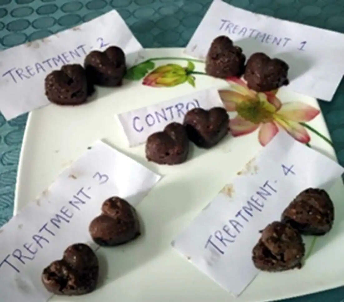 हिसार : लुवास के वैज्ञानिकों ने विकसित किया चिया युक्त पौष्टिक न्यूट्रीफिट मिल्क बार
