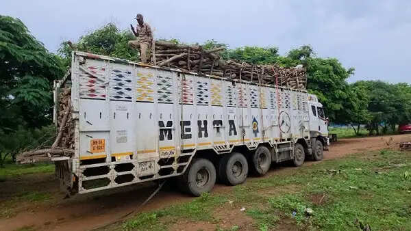 शिवपुरी से हरियाणा ले जाई जा रही 80 क्विंटल लकड़ी से भरा ट्रक जब्त