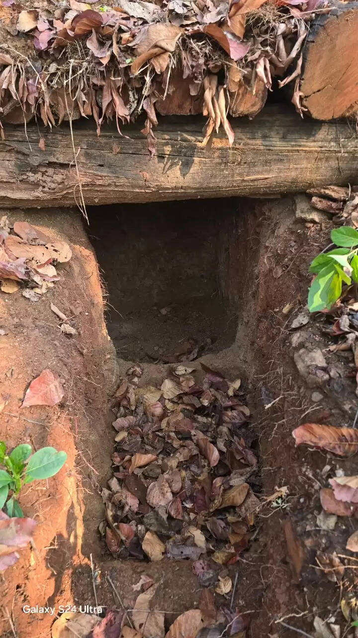 सुरक्षा बलों ने पांच नक्सली बंकर ध्वस्त किए