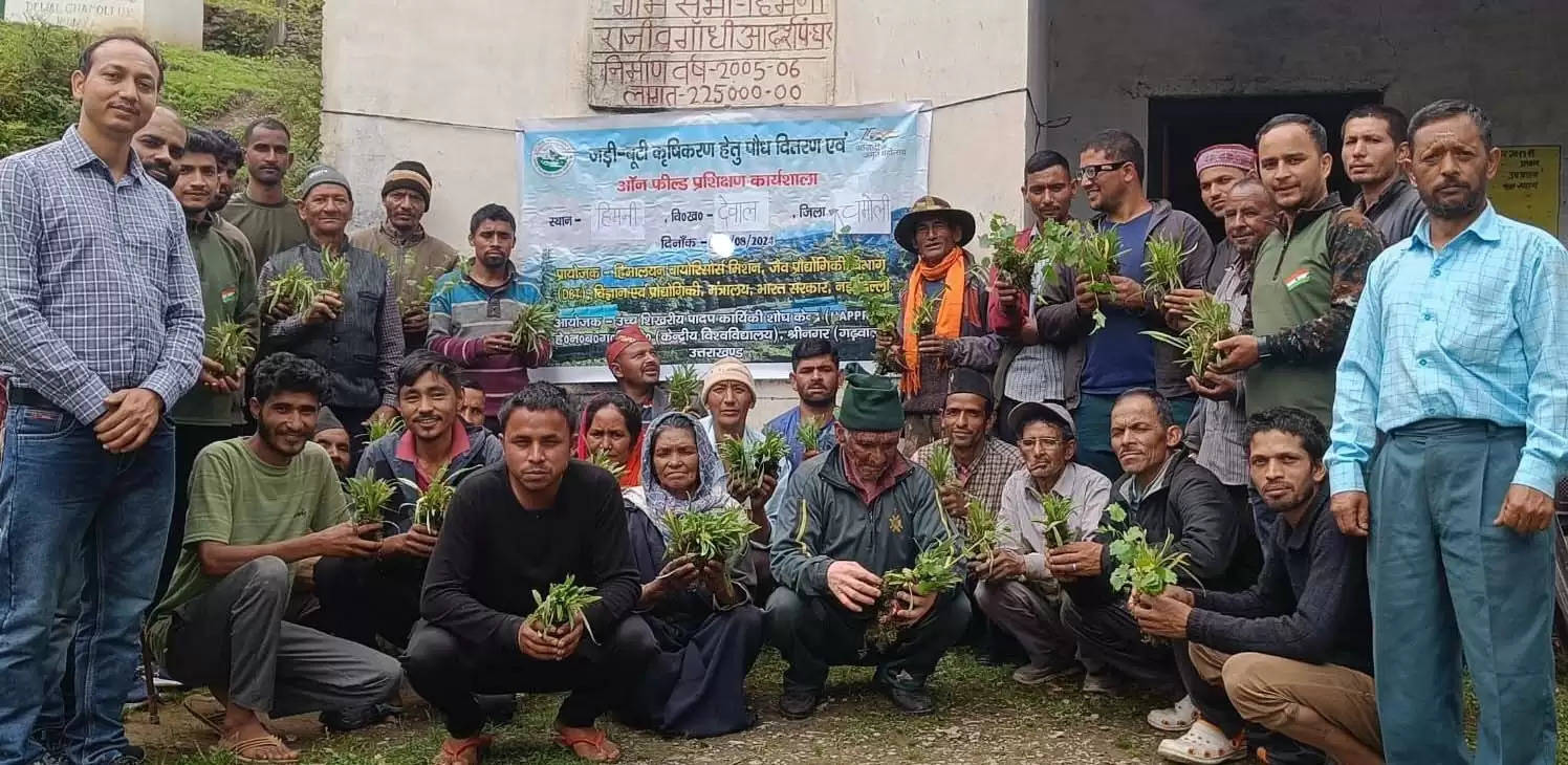 दुर्लभ जड़ी बूटी जटामांसी और अतिश के दो हजार पौधों का किया वितरण