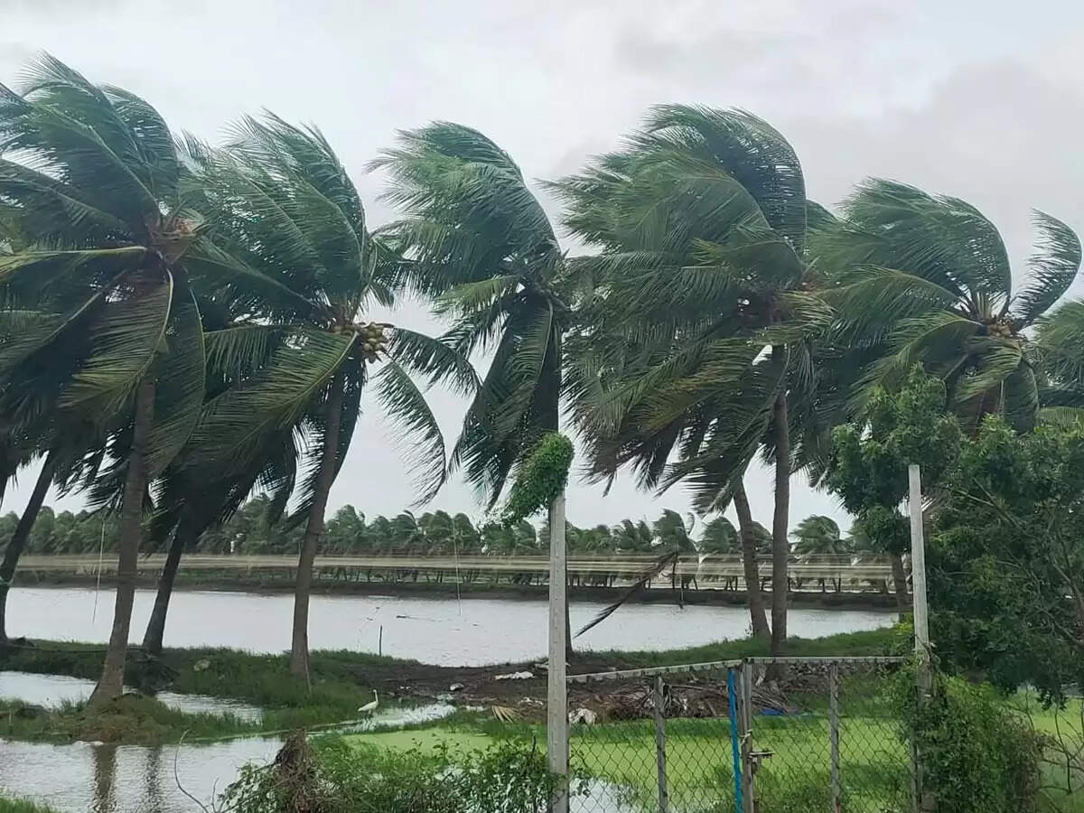 चक्रवात मोंथा आंध्र प्रदेश के तट से टकराया, आधी रात तक हाई अलर्ट