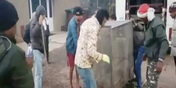 धमतरी : जाल में फंसा तेंदुआ, वन विभाग ने किया सफल रेस्क्यू