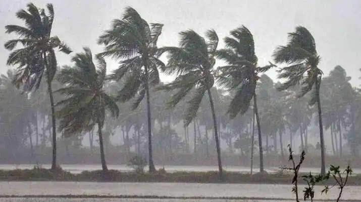 तमिलनाडु में भारी बारिश से तीन जिलों में स्कूल-कॉलेज बंद, मछुआरों काे चेतावनी जारी