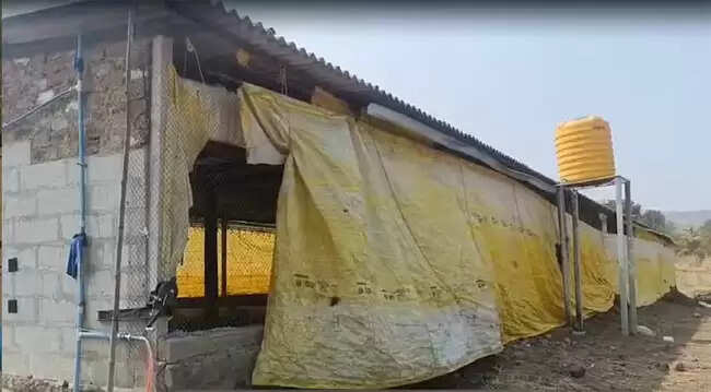 डीआरआई ने महाराष्ट्र के सातारा में मारा छापा, 6 हजार करोड़ की ड्रग्स जब्त