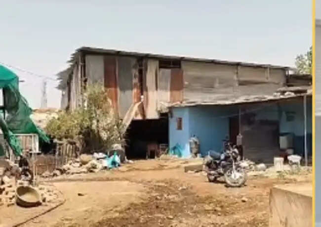 इंदौरः महू के बंडाबस्ती क्षेत्र में शासकीय भूमि से अवैध अतिक्रमण हटाने की कार्रवाई