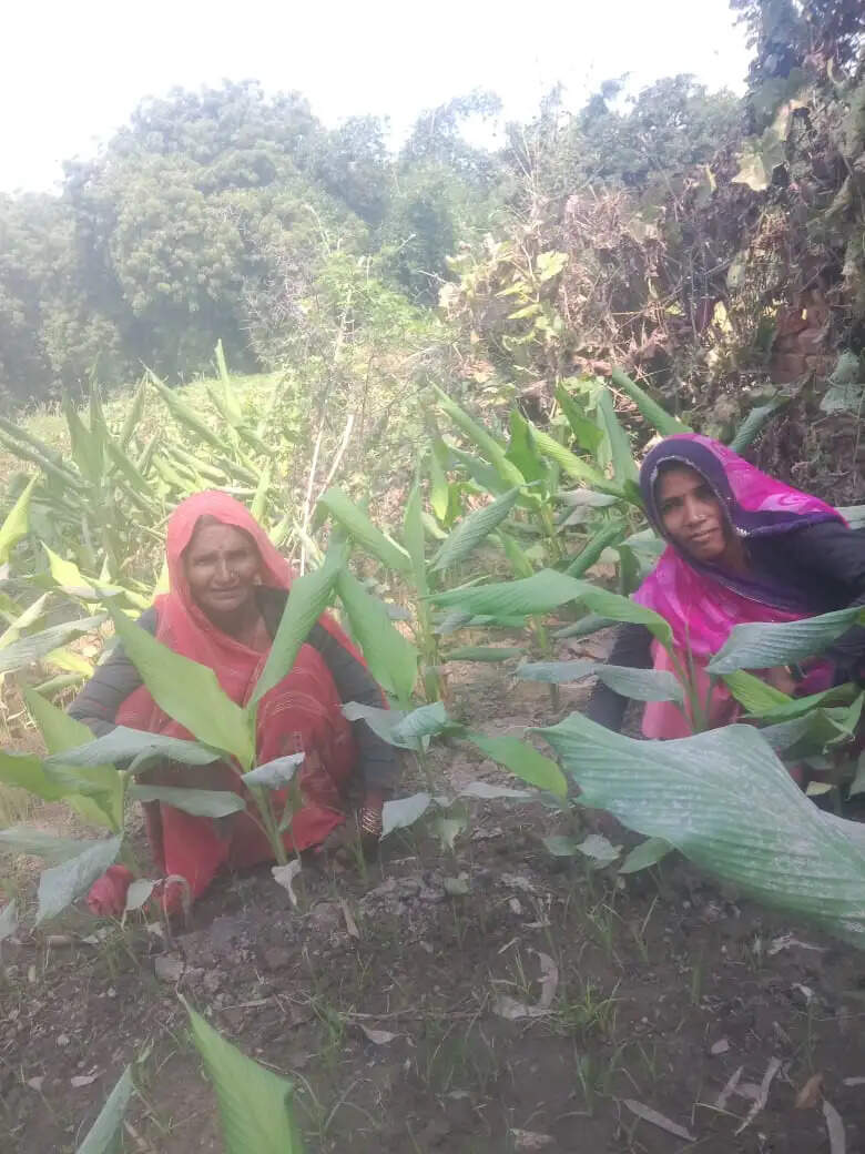 महिला किसानों के लिए रोल मॉडल बनी जिले की 408 कृषि सखियां