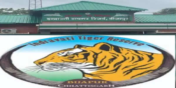 बस्तर का इंद्रावती टाइगर रिजर्व 40 वर्ष बाद पर्यटन के लिए एक नवंबर से खुल जायेगा