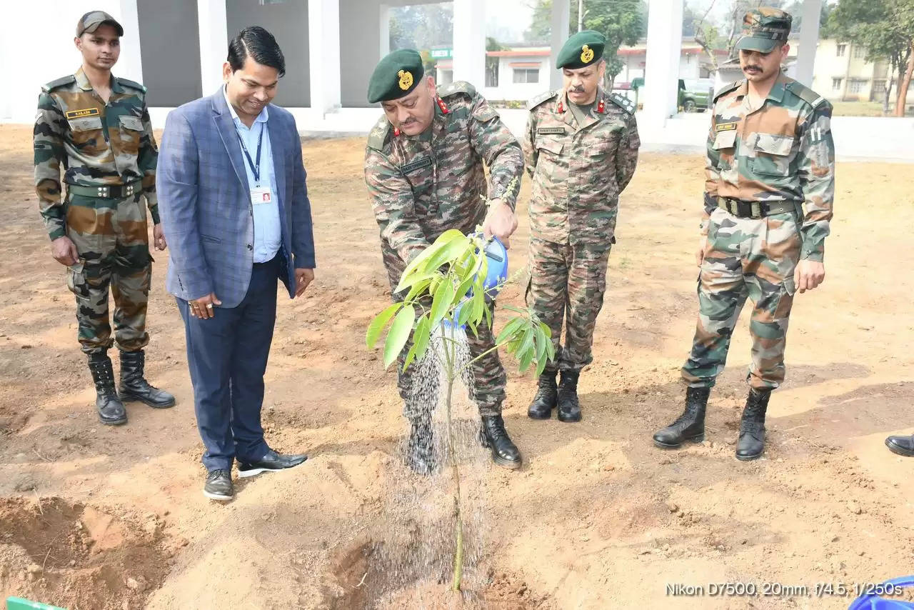 रामगढ़ के पंजाब रेजिमेंटल सेंटर में मियावाकी तरीके से लगाए गए पौधे