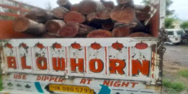 कठुआ में वन विभाग की बड़ी कार्रवाई, अवैध लकड़ी से भरा वाहन जब्त