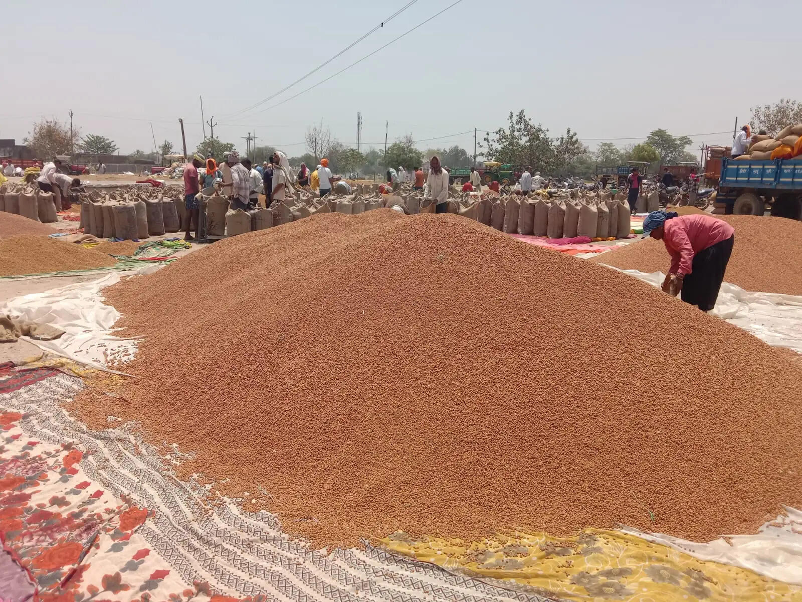 सर्वर ठप होने से चना खरीद प्रभावित, किसानों को झेलनी पड़ी परेशानी