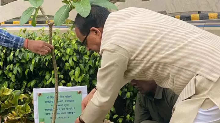 मप्रः मुख्यमंत्री शिवराज ने नई दिल्ली प्रवास पर पौधा-रोपण किया