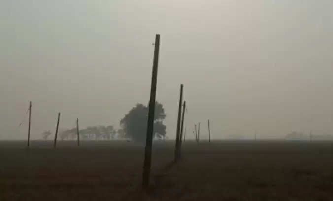 कृषि फीडर के 80 पोल के बिजली तार एवं ट्रांसफॉर्मर के तेल को चोरों ने चुराया