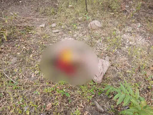 अनूपपुर: जंगल में मिला बुजुर्ग महिला का सड़ गला शव, नहीं हो पाई शिनाख्त