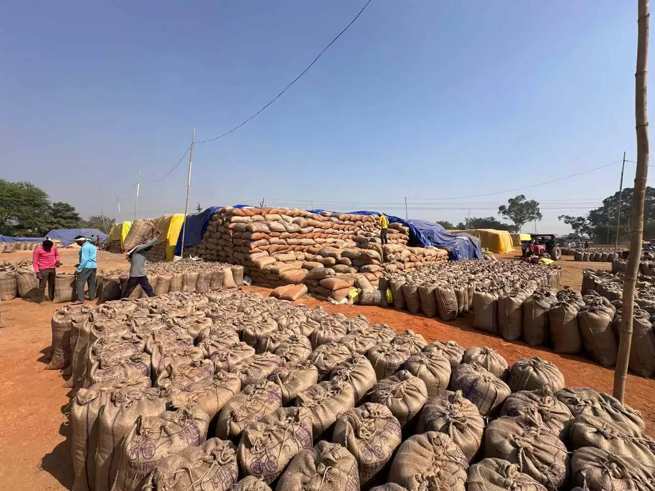 धमतरी में समर्थन मूल्य पर धान उपार्जन तेज, अब तक 48.59 लाख क्विंटल की खरीद