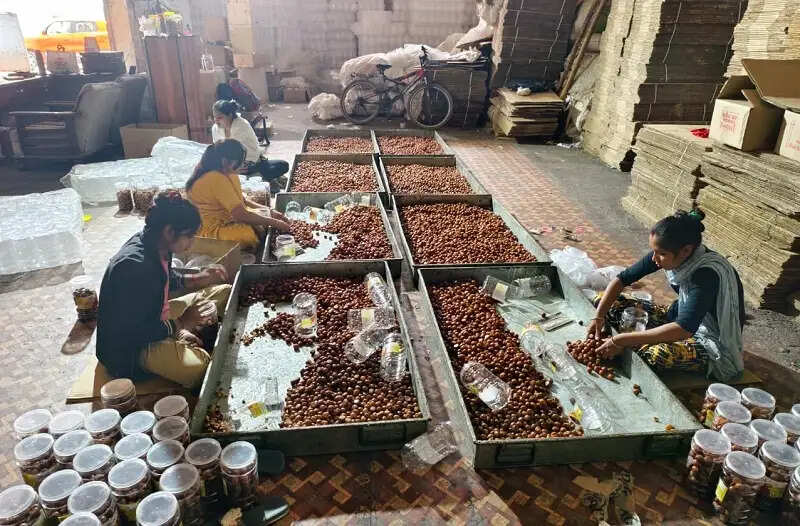 इंदौरः फैक्ट्री में गंदगी के बीच बन रही थी गुलाब जामुन, खाद्य कारोबार कराया गया बंद