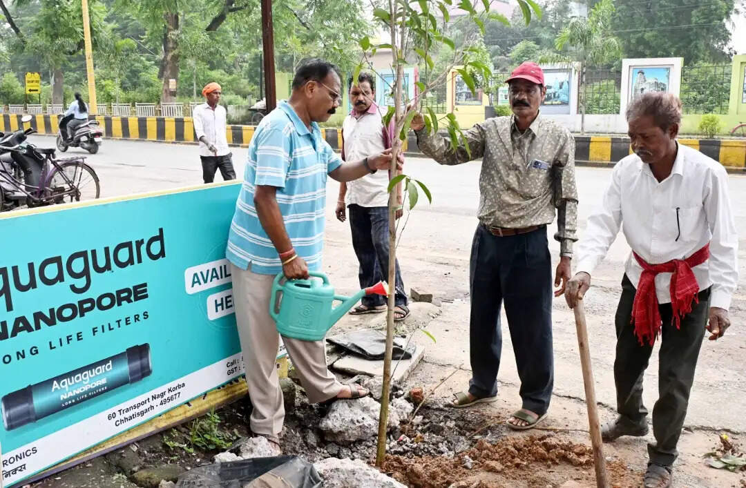 कोरबा में ‘एक पेड़ मां के नाम’ अभियान के तहत हुआ वृक्षारोपण, तुलसी एजेंसी से सीएसईबी चौक तक लगाए पौधे