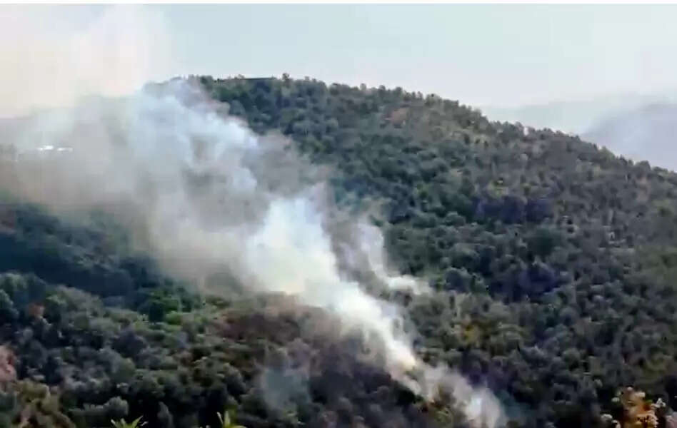 नैनीताल के निकट जंगलों में भीषण आग, आबादी क्षेत्रों तक पहुंचने का खतरा