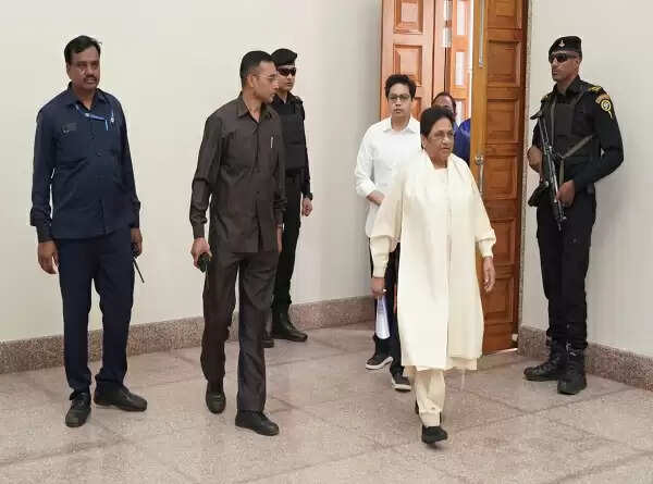 बसपा ने आकाश को बनाया मुख्य नेशनल कोऑर्डिनेटर