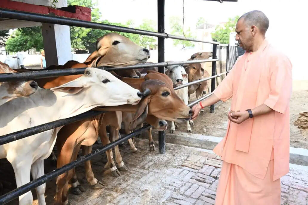 योगी ने गोशाला के कार्यकर्ताओं को गोवंश के समुचित देखभाल के निर्देश दिए