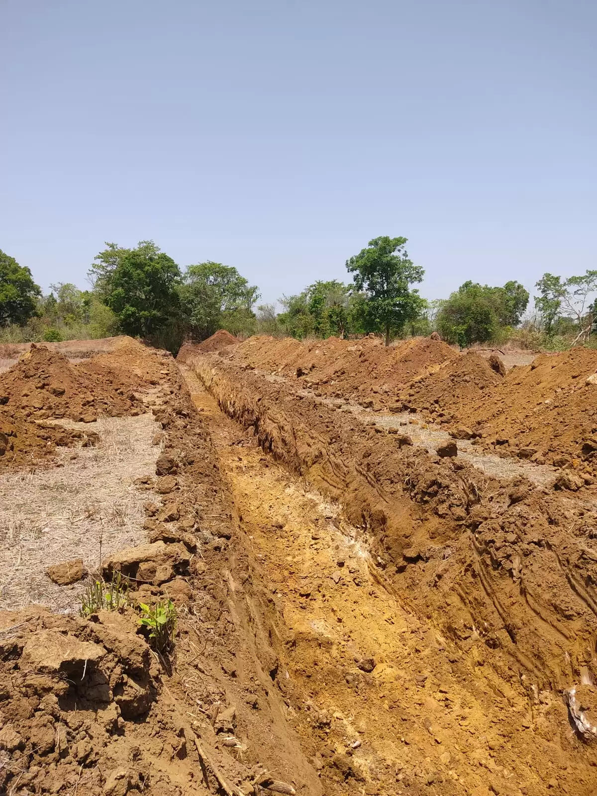 धमतरी : नगरी क्षेत्र को सिंचाई में नई संजीवनी: फुटहामुड़ा नहर परियोजना से बदलेगा ग्रामीण परिदृश्य