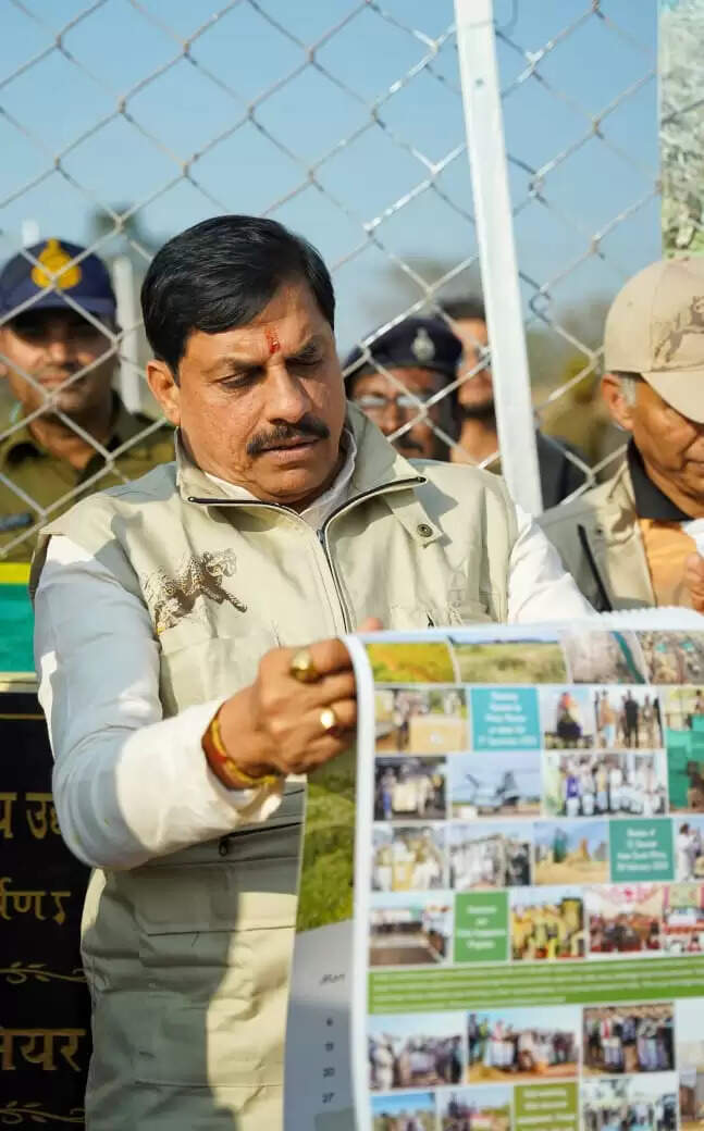 श्योपुर: मुख्यमंत्री डॉ मोहन यादव ने खुले जंगल में छोड़े तीन चीते, अब संख्या 29 हुई