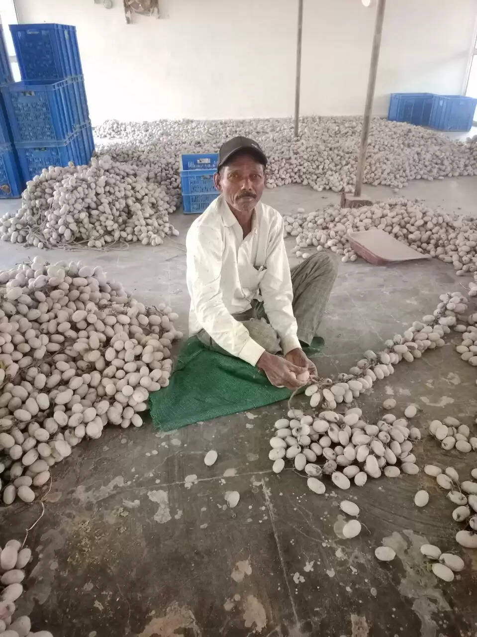 तसर पालन - ग्राम सलोरा के किसान भरत राम केवट बने आत्मनिर्भर