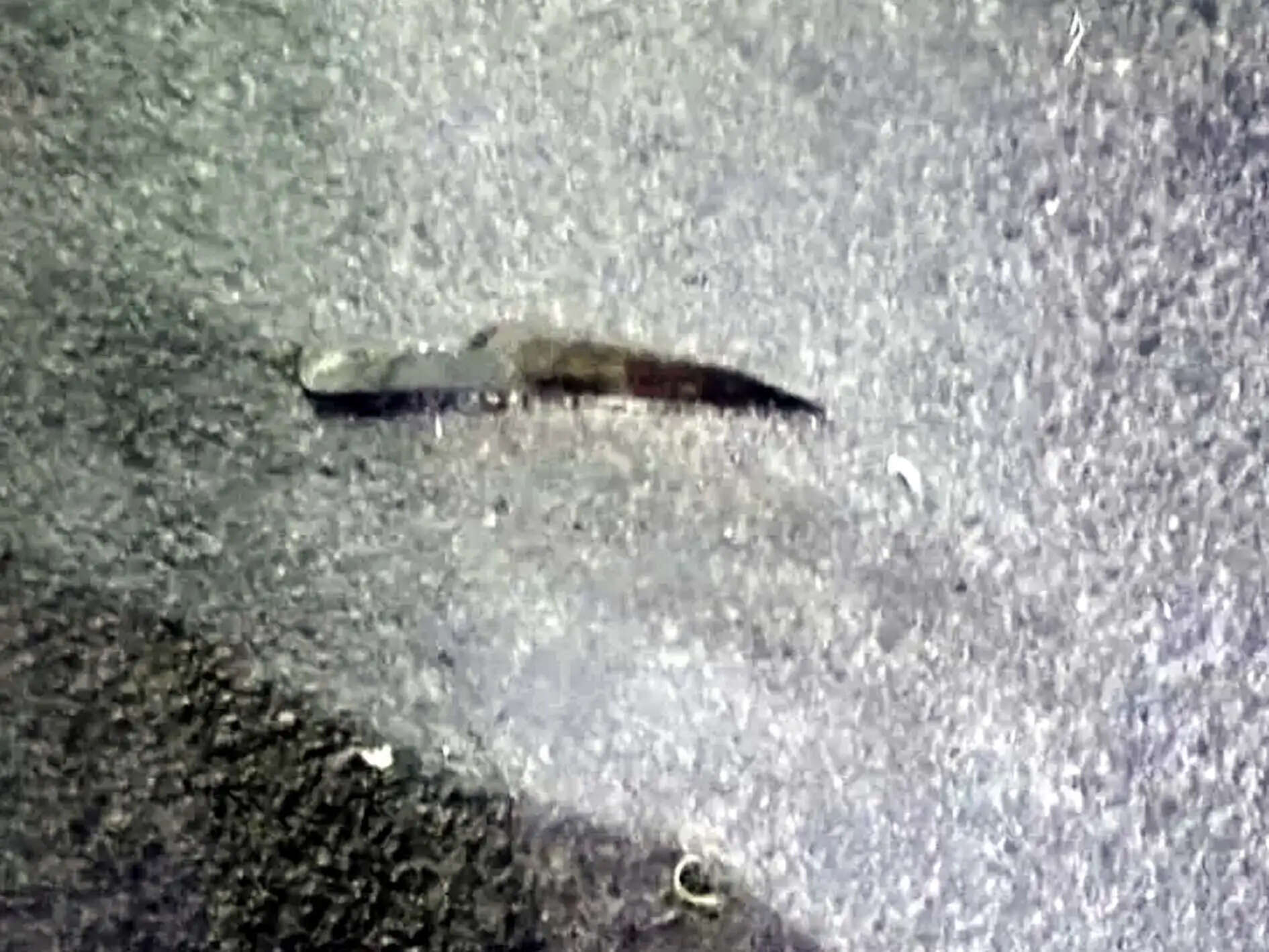 अपडेट --हिसार में जेल से छूटे युवक की पेशी से पहले गाेली मारकर हत्या