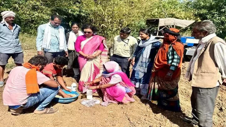 जबलपुरः पाटन विकासखंड के ग्राम कोनीकला से हुई मूंगफली की बोनी की शुरुआत