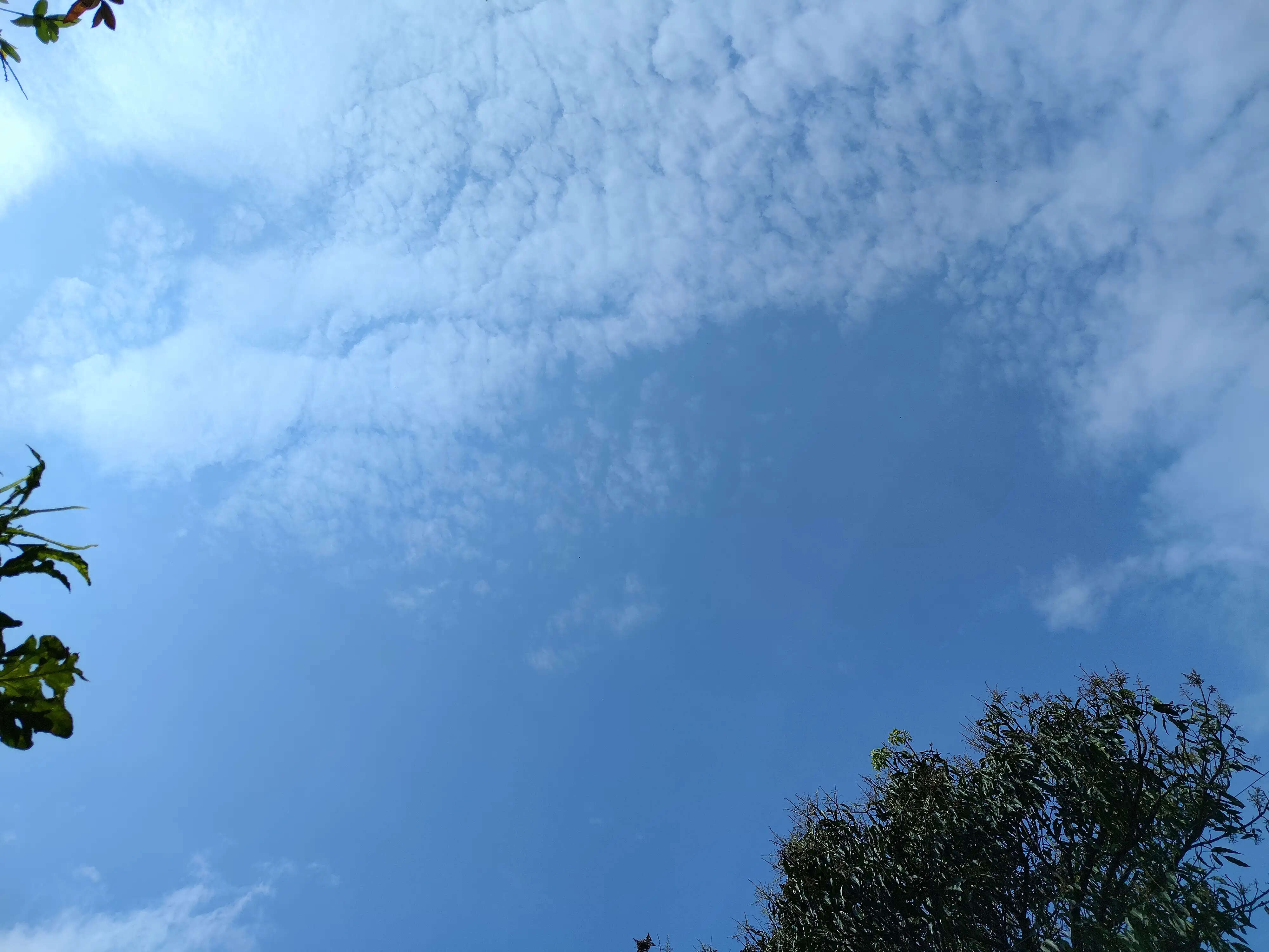 उत्तराखंड में मौसम का मिजाज बदला, बर्फबारी के आसार