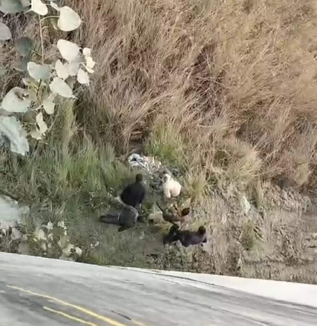 छपरा-सिवान मार्ग पर अनियंत्रित कार ने बाइक सवार को मारी टक्कर एक युवक की हुई मौत