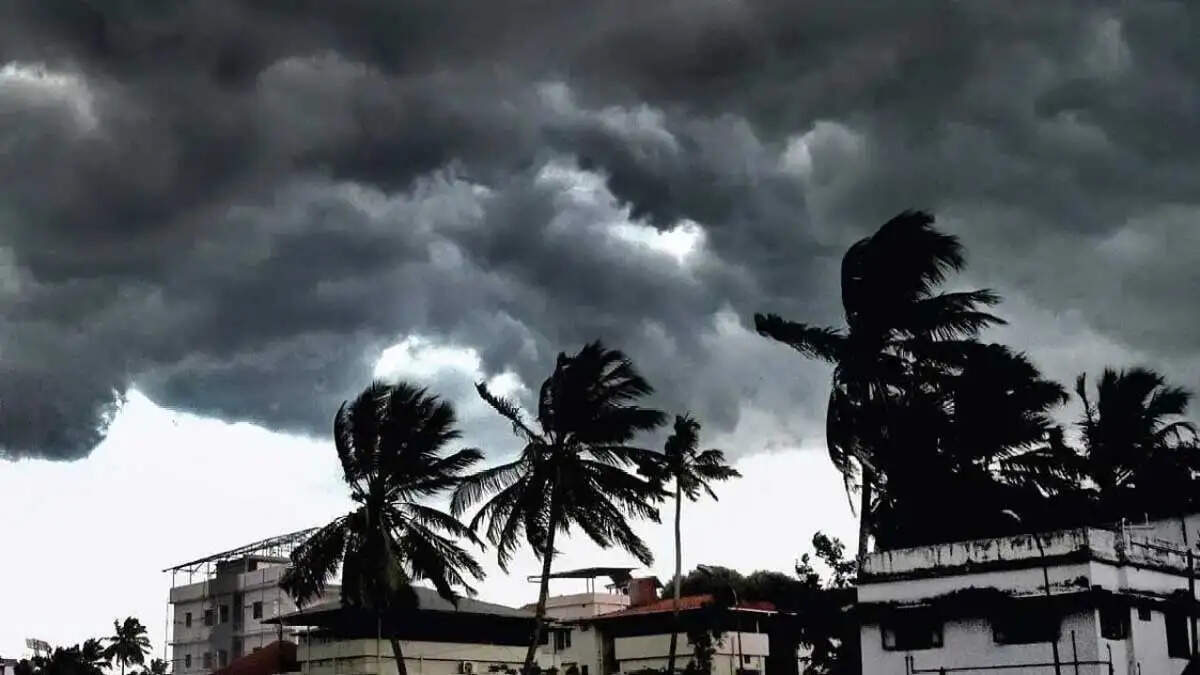 अल नीनो का असर: बलरामपुर में कमजोर मानसून से किसान चिंतित, धान-मक्का की बुआई पर संकट