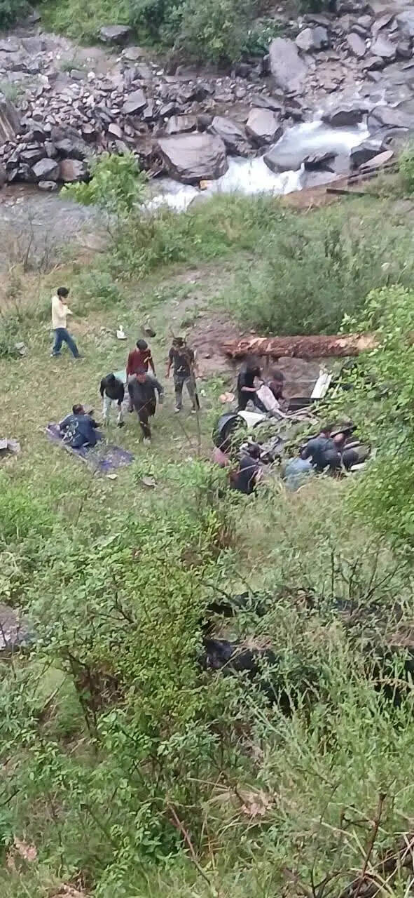 चलती बोलेरो पर गिरा पेड़, खाई में गिरने से चार अध्यापिकाओं की मौत, मुख्यमंत्री ने जताया शोक