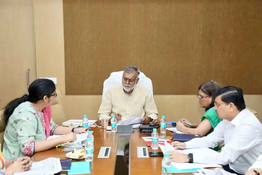 आजीविका मिशन अंतर्गत योजनाओं का वित्तीय प्रबंधन करें बेहतर : मंत्री पटेल