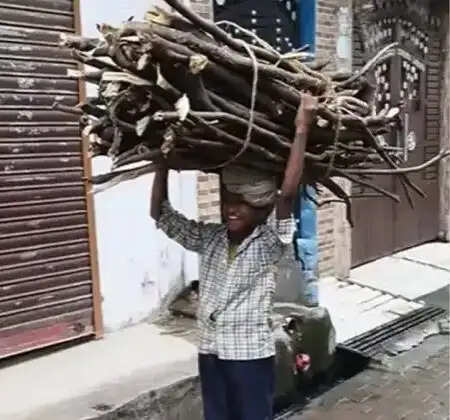 वायरल वीडियो में स्कूली बच्चों से ढुलवाई जा रही लकड़ी, जांच शुरू