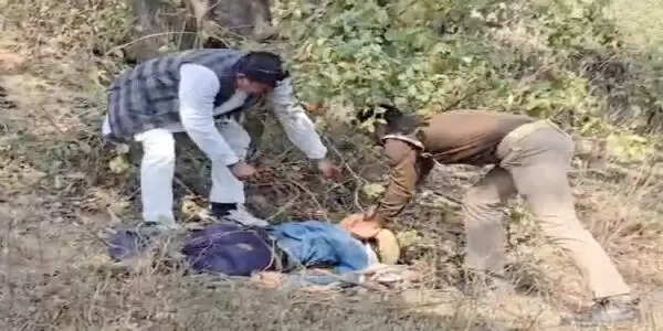 चित्रकूट कलेक्ट्रेट की बाउंड्री के पीछे पेड़ पर एक युवती ने लगाई फांसी