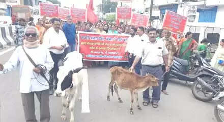 आवारा गोवंश की समस्या को लेकर ग्रामीणों का प्रदर्शन, सरकार पर लगाया असंवेदनशीलता का आरोप