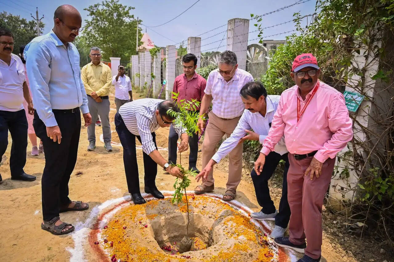 पौधरोपण महाअभियान' में पर्यटन विभाग की हरित पहल, प्रमुख पर्यटन स्थलों पर लगे पौधे