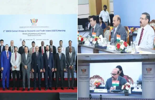 ब्रिक्स देशों के बीच आपसी व्यापार 1.17 ट्रिलियन डॉलर तक पहुंचा: राजेश अग्रवाल