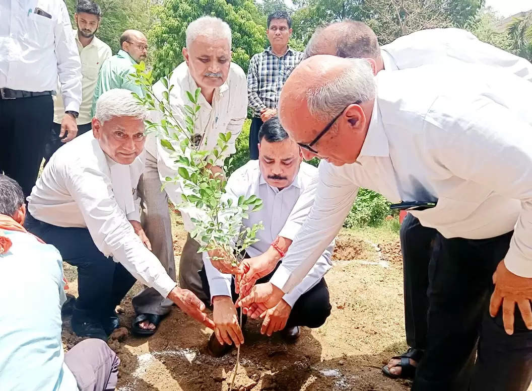 सिविल कोर्ट परिसर में प्रधान जिला जज ने किया पौधारोपण