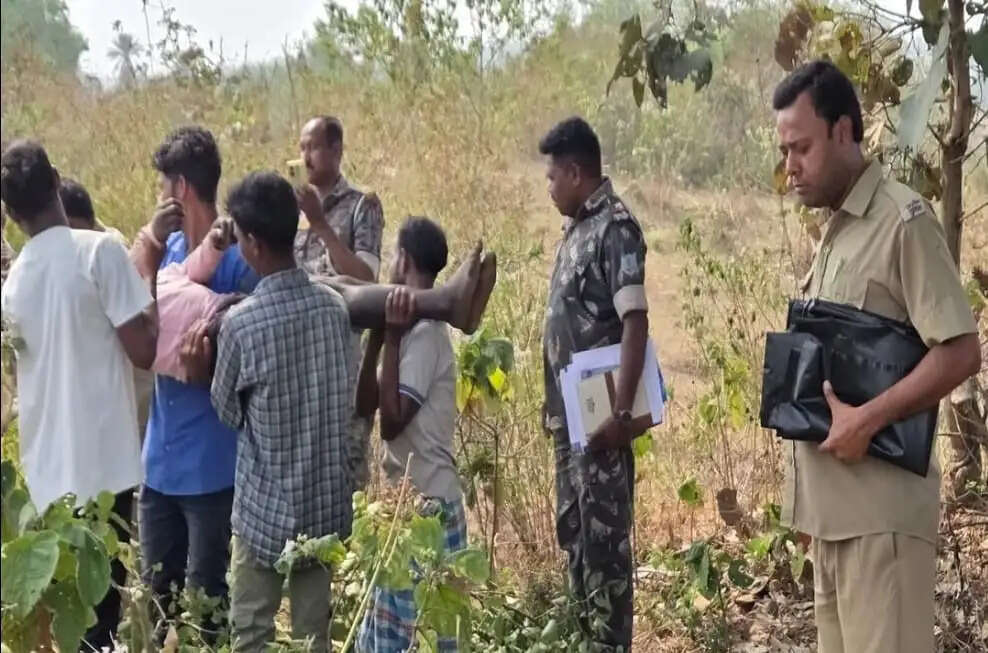 पेड़ से लटका मिला युवक का शव, जांच में जुटी पुलिस