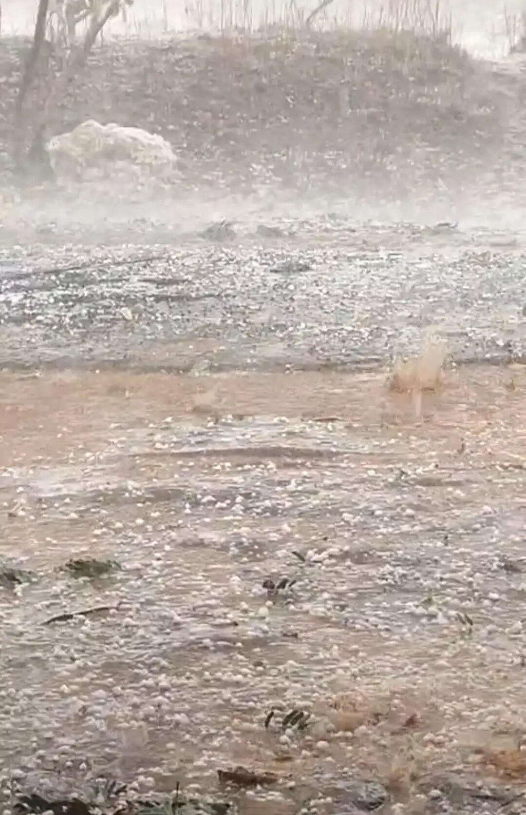 बारिश से मिली राहत, ओलों ने फसलें तबाह कीं