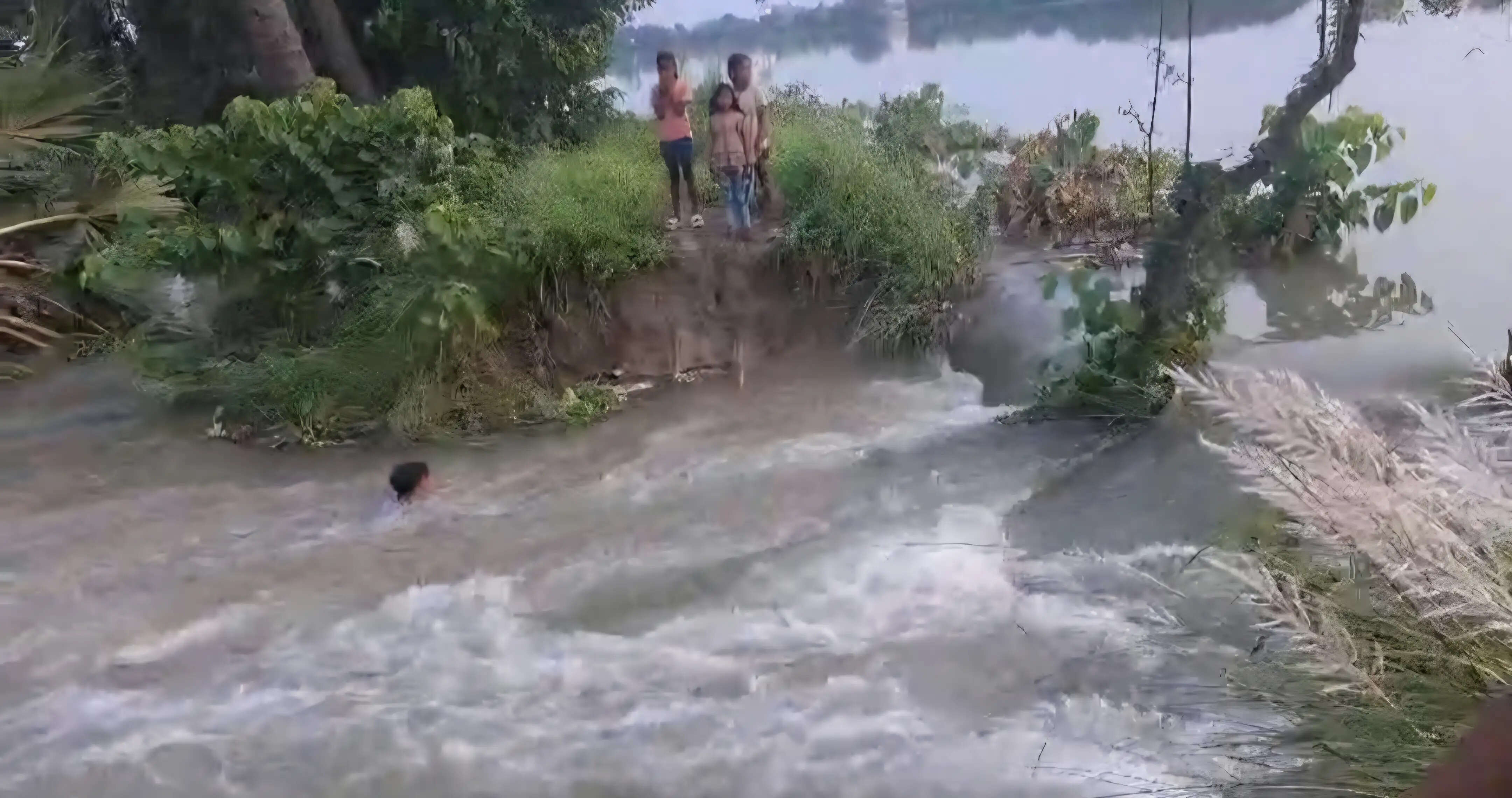 मांझी प्रखंड के चेफूल पंचायत में दहा नदी का बांध टूटा, घरों में घुसा पानी