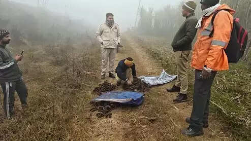 डीएफसी अंबाला में ईआरसी चोरी का पर्दाफाश, चार गिरफ्तार