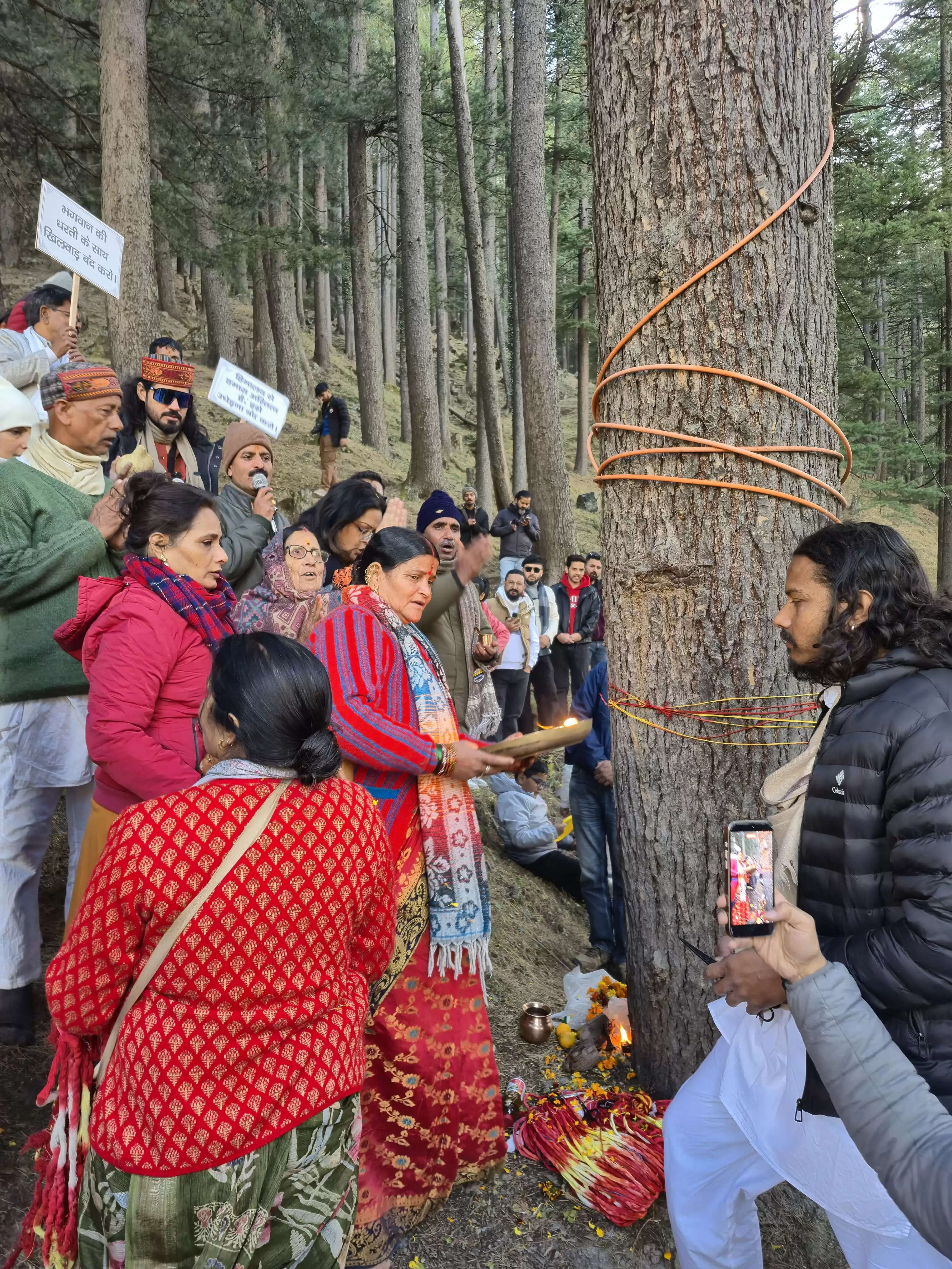 हर्षिल वैली में ऑल वेदर सड़क में देवदार के पेड़ों पर बांधे रक्षा सूत्र