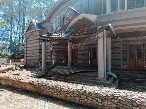 तुफान का कहर, संस्कृति सदन मंडी का पेड़ गिरने से क्षतिग्रस्त