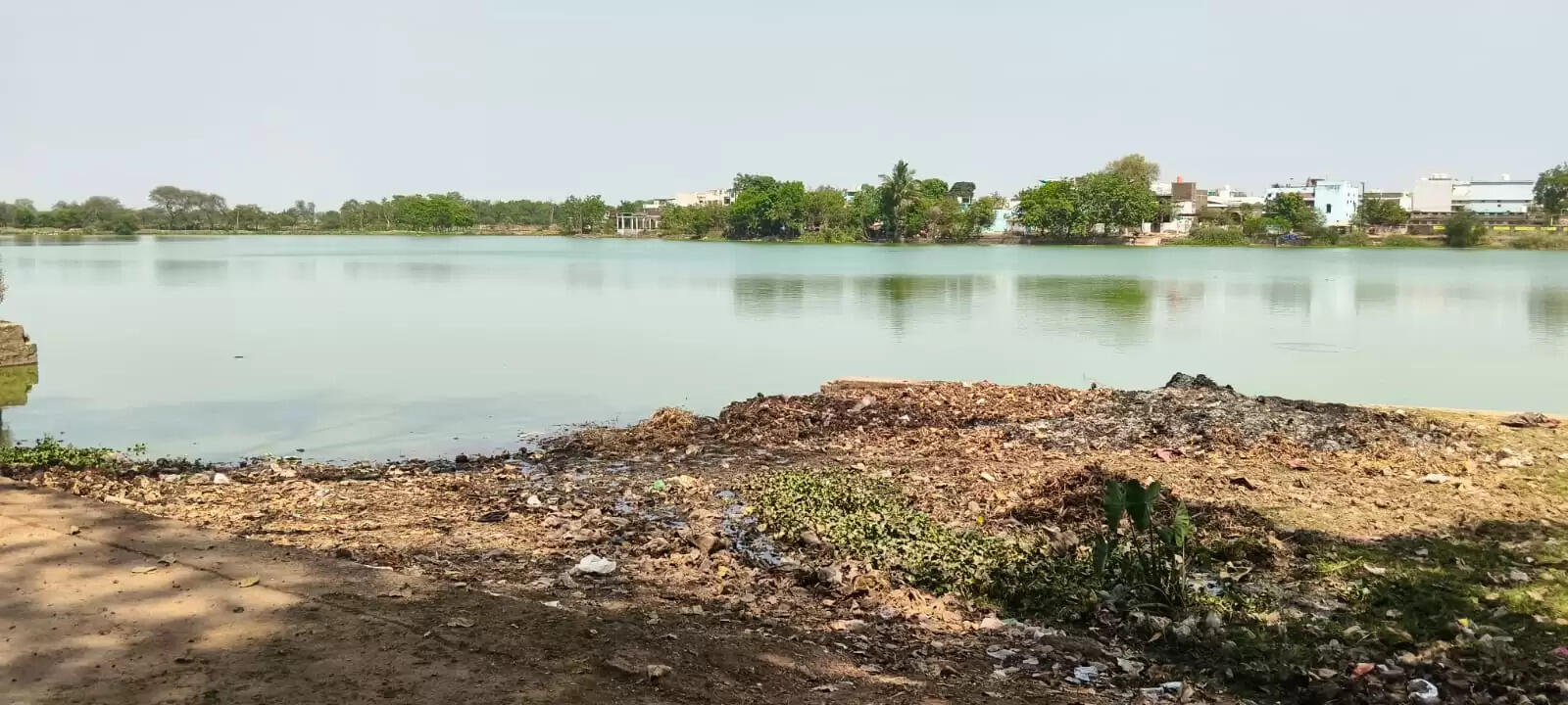 शहर से लगे दो गांवों के निस्तारी तालाब में पानी संकट