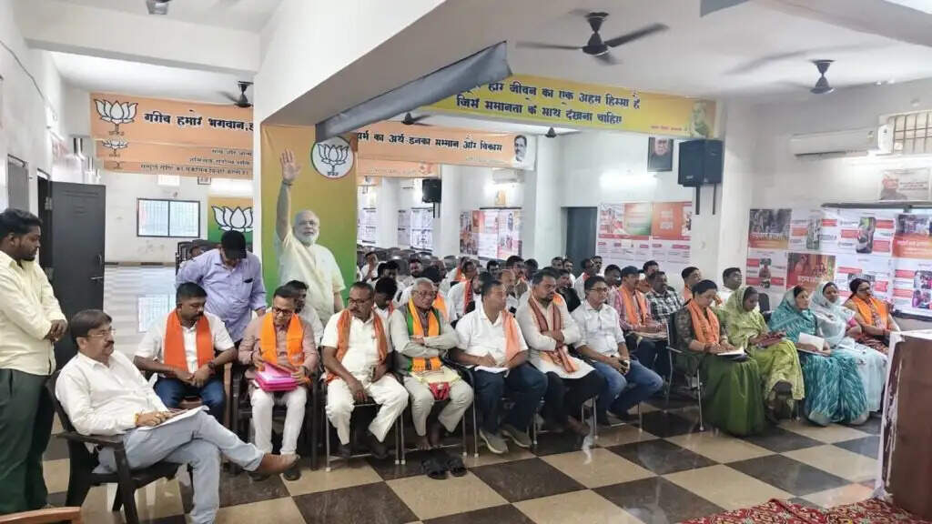 लोकतंत्र बचाओ, अराजकता हटाओ अभियान को लेकर भाजपा की जिलास्तरीय कार्यशाला