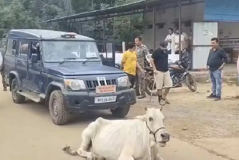 मप्र: बालाघाट में करोड़ों के चावल घोटाला मामले में राइस मिलर्स संचालक और पार्टनर गिरफ्तार